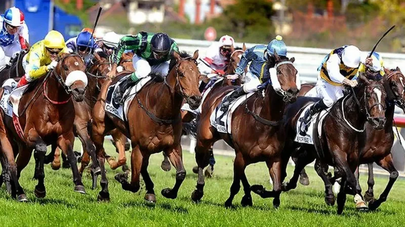 Luật chơi chi tiết về cá cược đua ngựa 