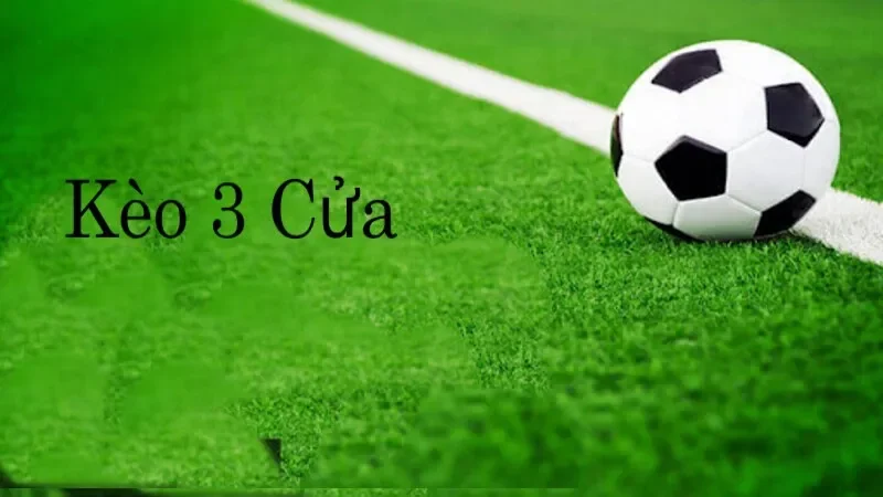 Đặc điểm về tỷ lệ chấp của cả hai dạng kèo cược 