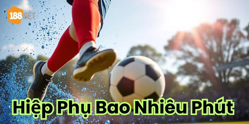 Giải thích hiệp phụ là gì?